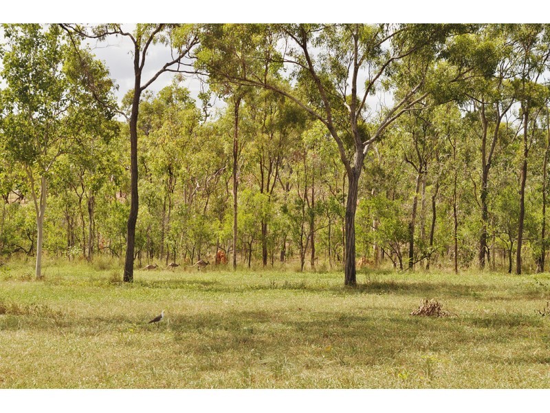 61 Rozel Close, Mareeba QLD 4880