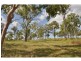 61 Rozel Close, Mareeba QLD 4880