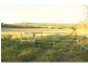 137 Leafgold Weir Road, Dimbulah QLD 4872