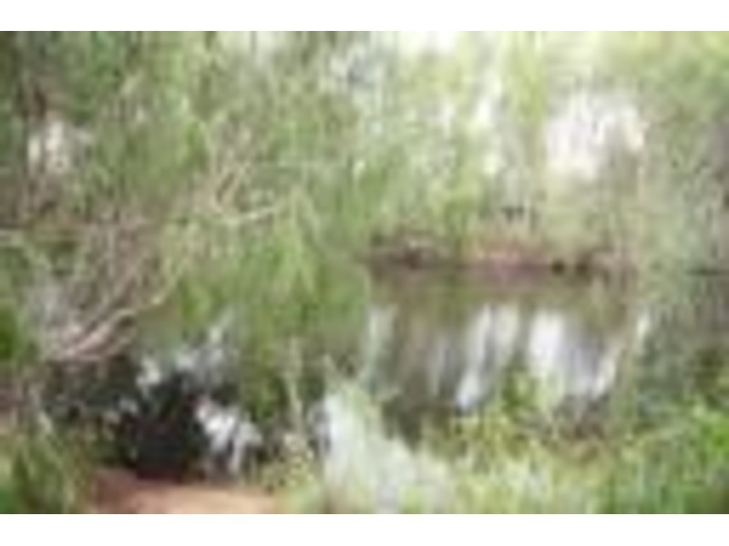 415 Leafgold Wier Road, Dimbulah QLD 4872