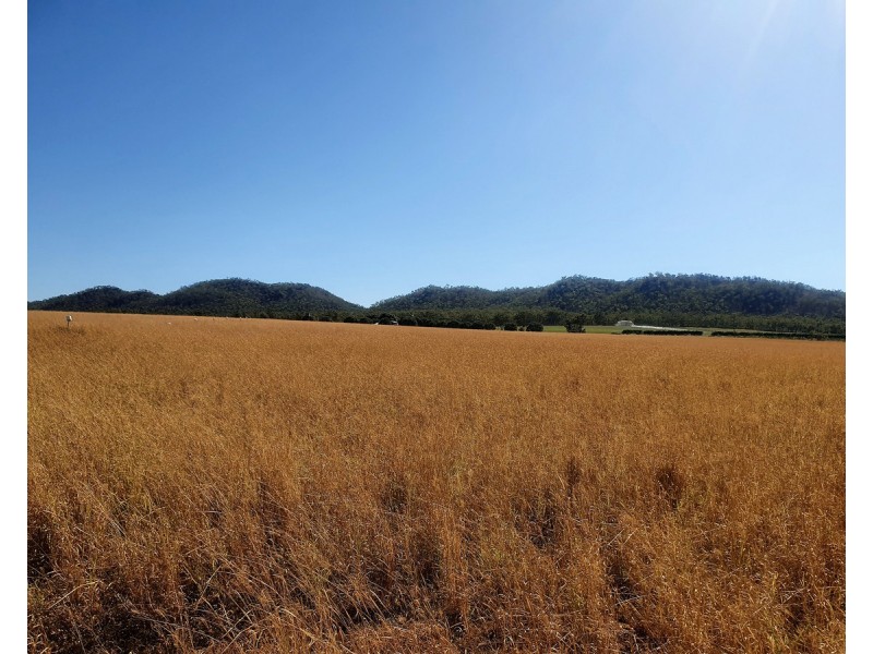 1373 Wolfram Road, Dimbulah QLD 4872