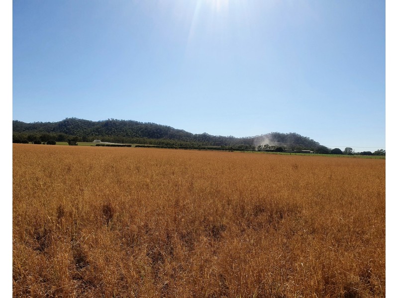 1373 Wolfram Road, Dimbulah QLD 4872