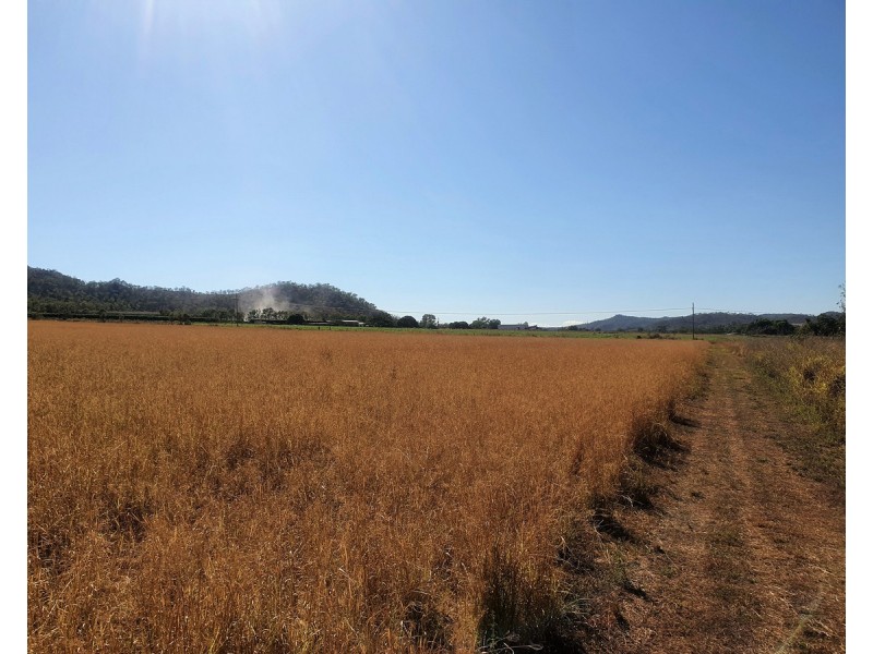 1373 Wolfram Road, Dimbulah QLD 4872