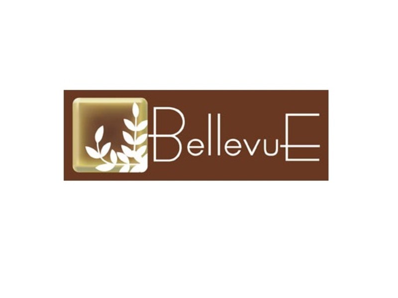 Lot 310, Bellevue Estate, Mareeba QLD 4880