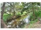 Lot 428 Tinaroo Creek Road, Mareeba QLD 4880
