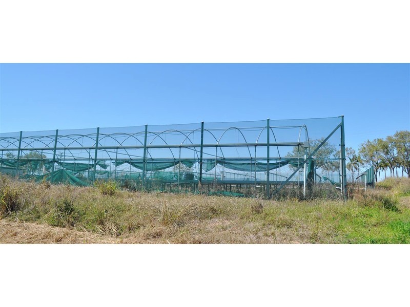 7/1013 Mareeba-Dimbulah Road, Mareeba QLD 4880