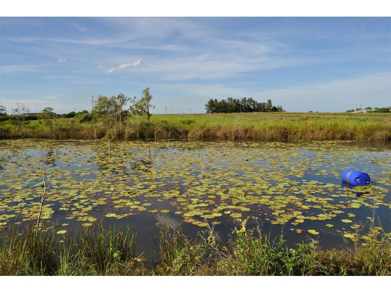 3/1013 Mareeba-Dimbulah Road, Mareeba QLD 4880