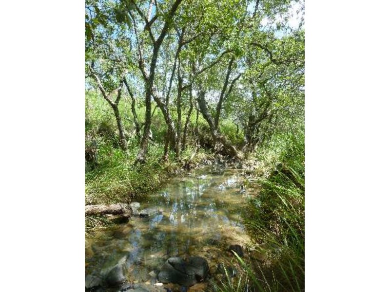 Lot 7,  Emerald Falls Estate, Mareeba QLD 4880