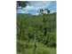 Lot 8,  Emerald Falls Estate, Mareeba QLD 4880