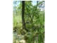 Lot 8,  Emerald Falls Estate, Mareeba QLD 4880