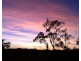 Lot 5,  Country Road Estate, Mareeba QLD 4880