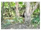 4521 Kennedy Highway, Mareeba QLD 4880