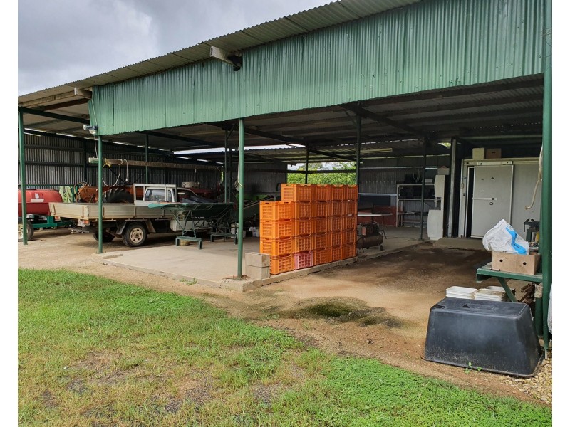 399 Malone Road, Mareeba QLD 4880