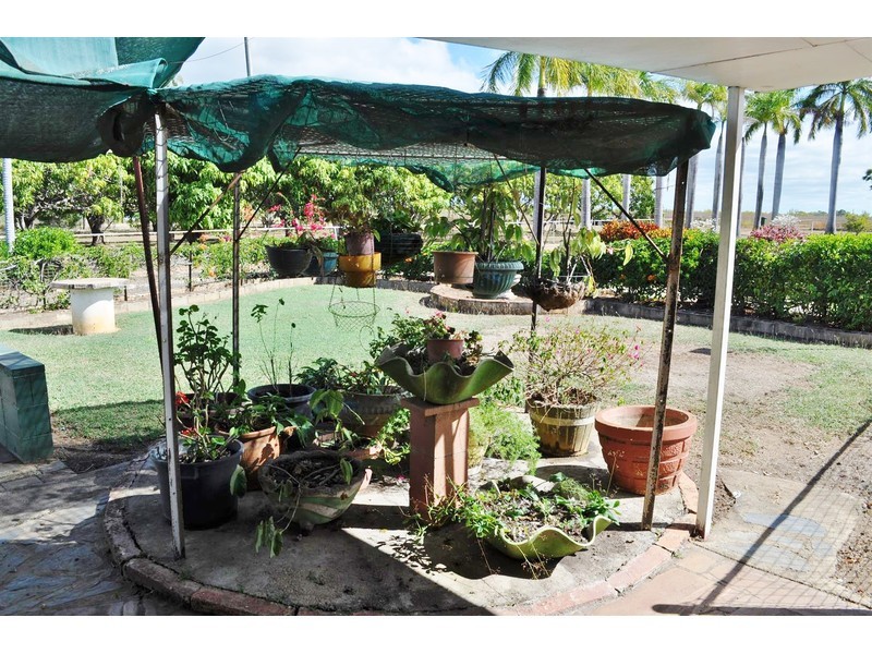 16 Tilse Street, Mareeba QLD 4880