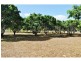 16 Tilse Street, Mareeba QLD 4880