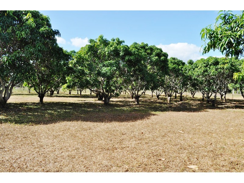 16 Tilse Street, Mareeba QLD 4880