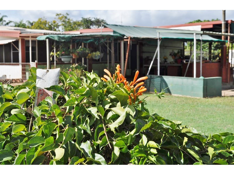 16 Tilse Street, Mareeba QLD 4880