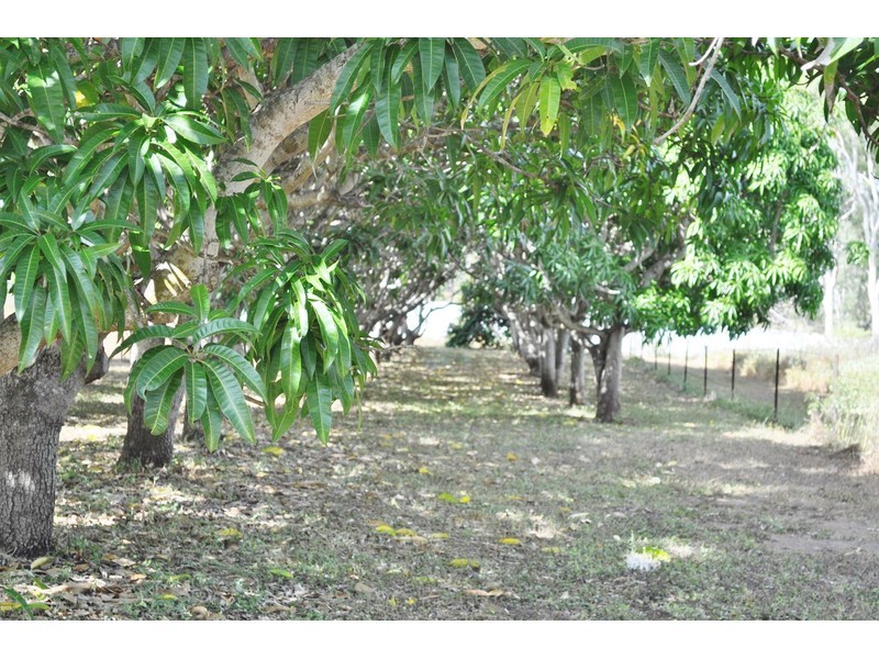 16 Tilse Street, Mareeba QLD 4880
