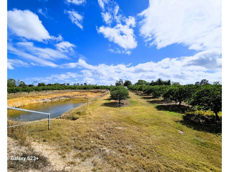 28 Facet Dve, Mareeba QLD 4880