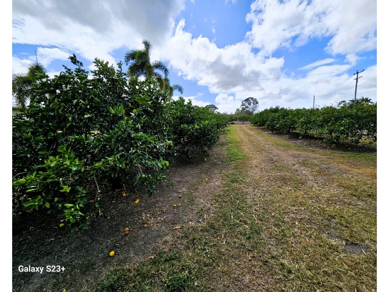 28 Facet Dve, Mareeba QLD 4880