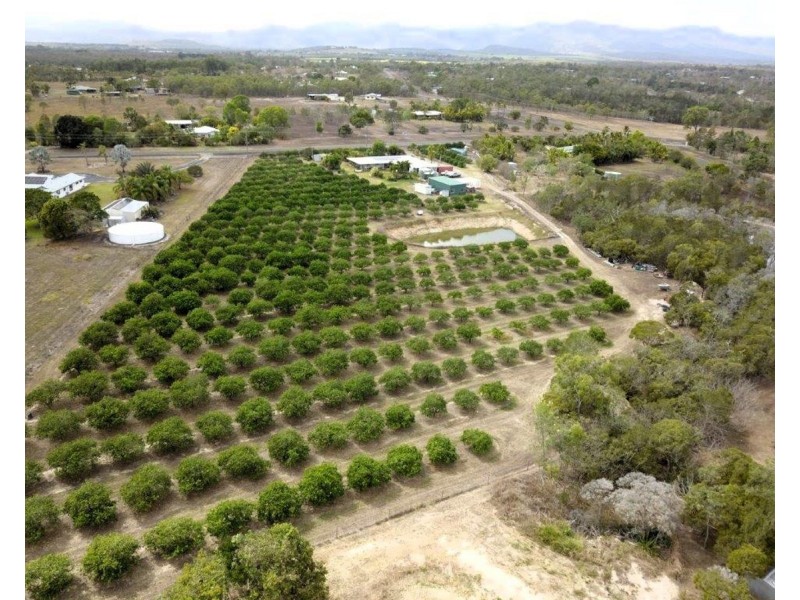 28 Facet Dve, Mareeba QLD 4880