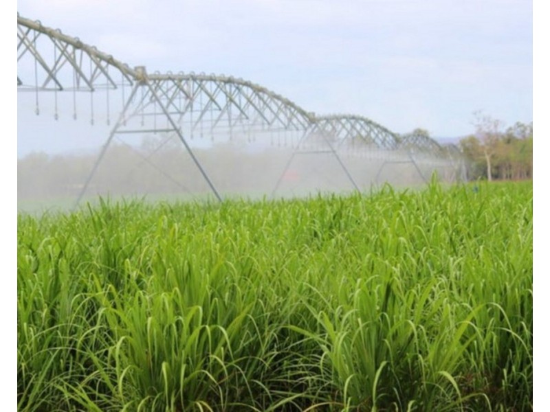 25 Megalitres, Mareeba QLD 4880