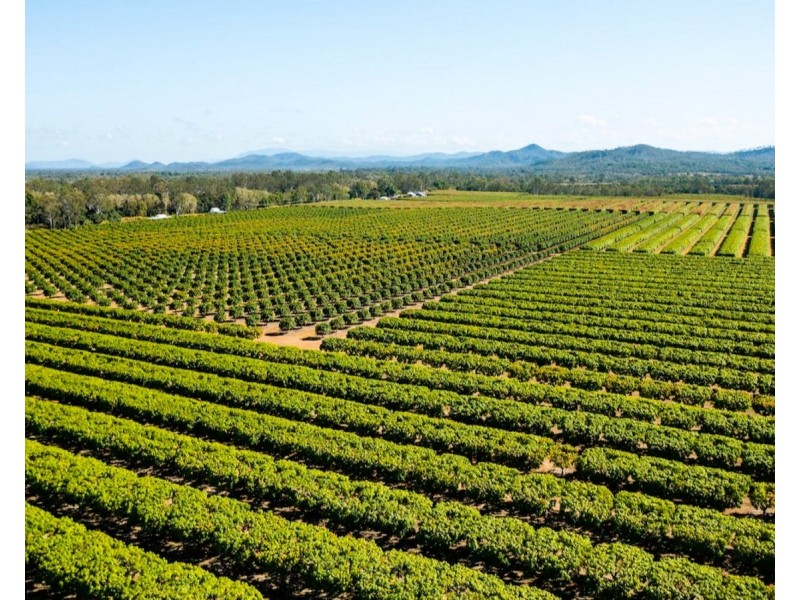 25 Megalitres, Mareeba QLD 4880