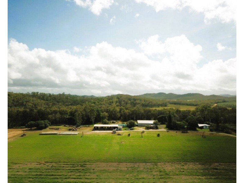 Contact Agent, Mareeba QLD 4880