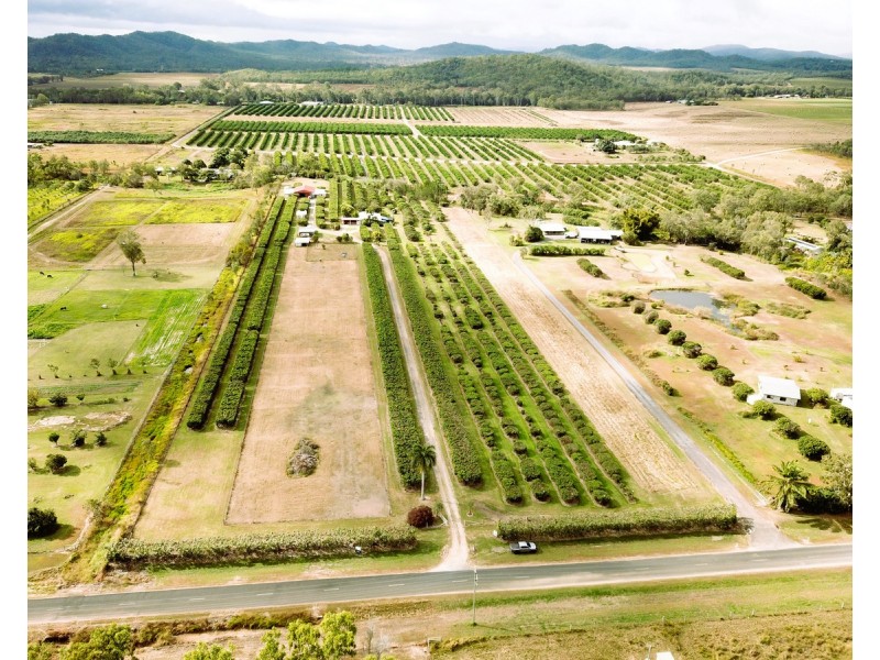 209 Malone Road, Mareeba QLD 4880