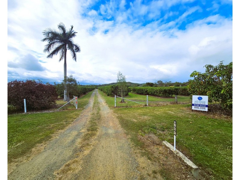 209 Malone Road, Mareeba QLD 4880