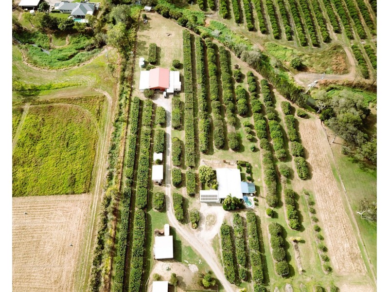 209 Malone Road, Mareeba QLD 4880