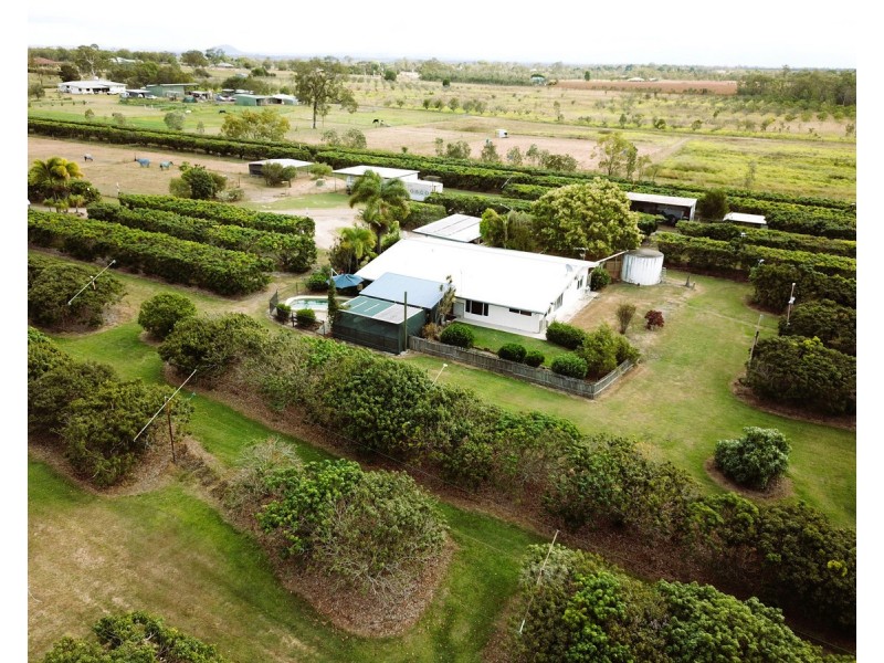 209 Malone Road, Mareeba QLD 4880