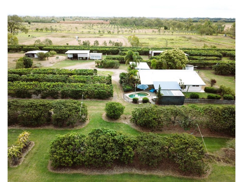 209 Malone Road, Mareeba QLD 4880
