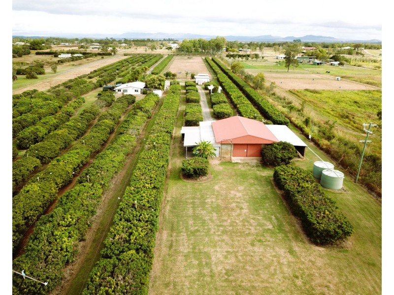 209 Malone Road, Mareeba QLD 4880