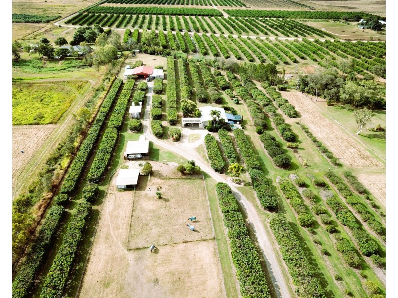 209 Malone Road, Mareeba QLD 4880