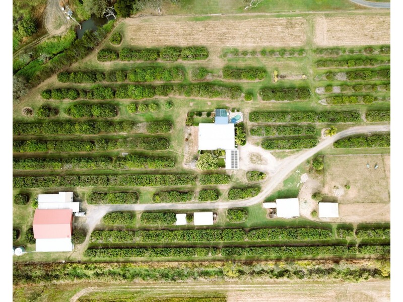 209 Malone Road, Mareeba QLD 4880