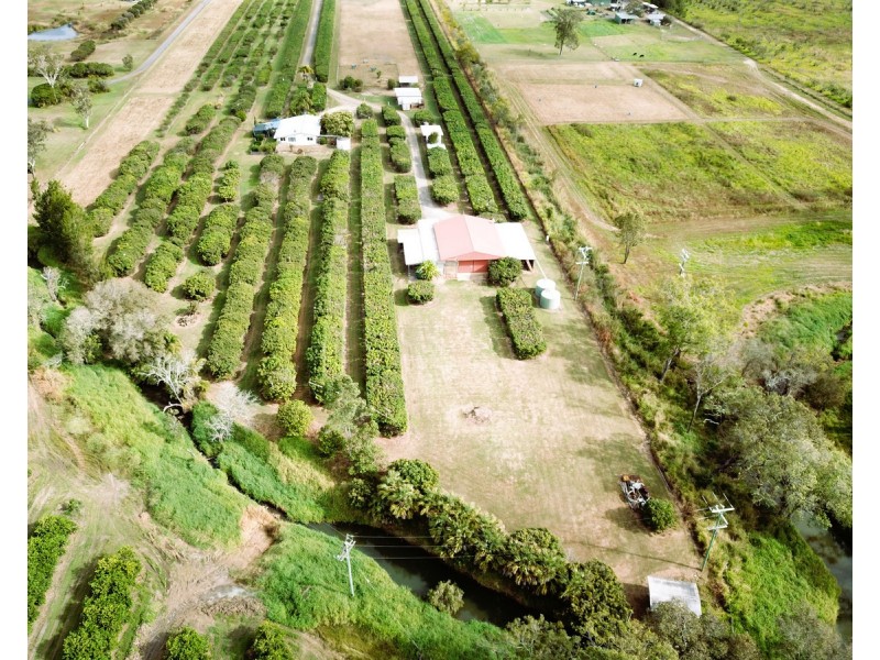 209 Malone Road, Mareeba QLD 4880