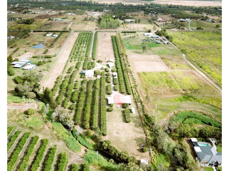 209 Malone Road, Mareeba QLD 4880