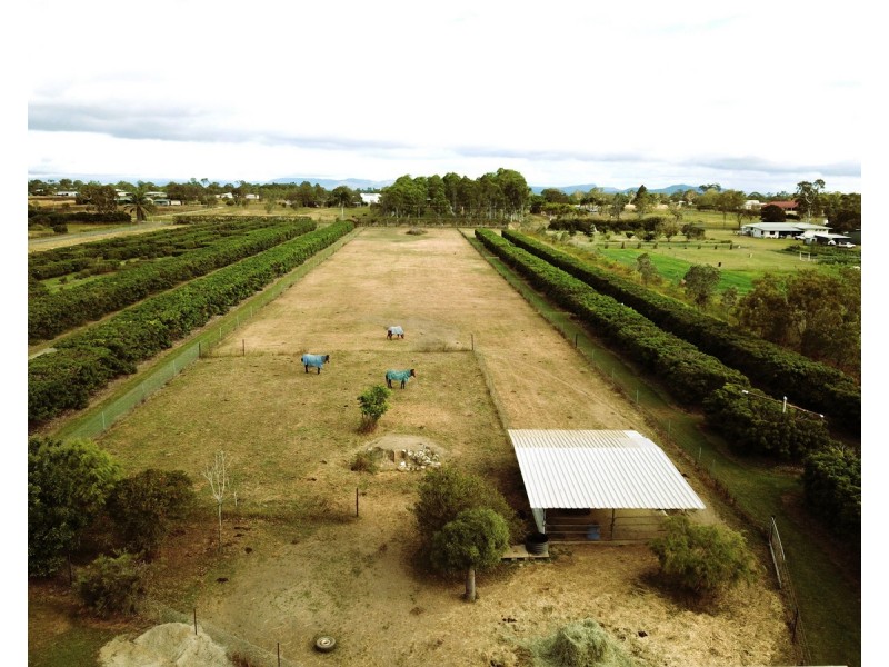 209 Malone Road, Mareeba QLD 4880