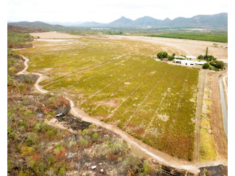 15 Minisini Road, Dimbulah QLD 4872