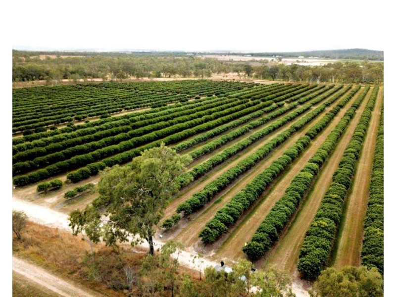 403 Springmount Road, Mutchilba QLD 4872