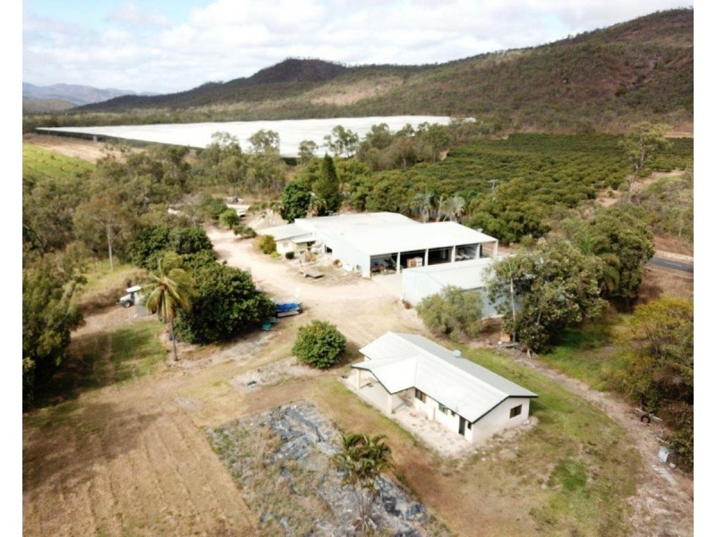 403 Springmount Road, Mutchilba QLD 4872