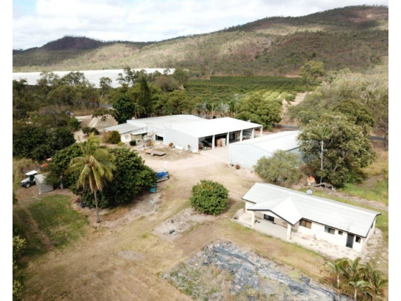 403 Springmount Road, Mutchilba QLD 4872