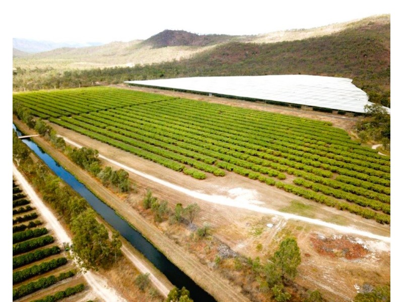 403 Springmount Road, Mutchilba QLD 4872