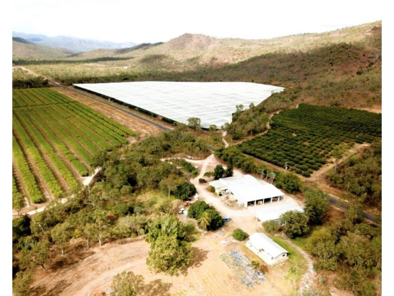 403 Springmount Road, Mutchilba QLD 4872