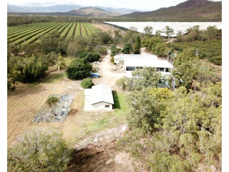 403 Springmount Road, Mutchilba QLD 4872