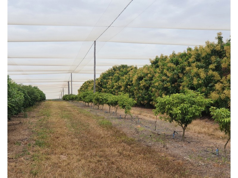 403 Springmount Road, Mutchilba QLD 4872