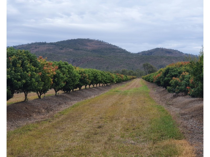 403 Springmount Road, Mutchilba QLD 4872