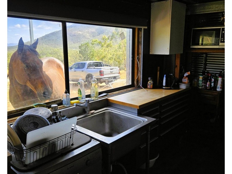 134 Lemontree Drive, Mutchilba QLD 4872