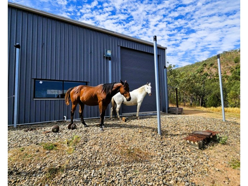 134 Lemontree Drive, Mutchilba QLD 4872